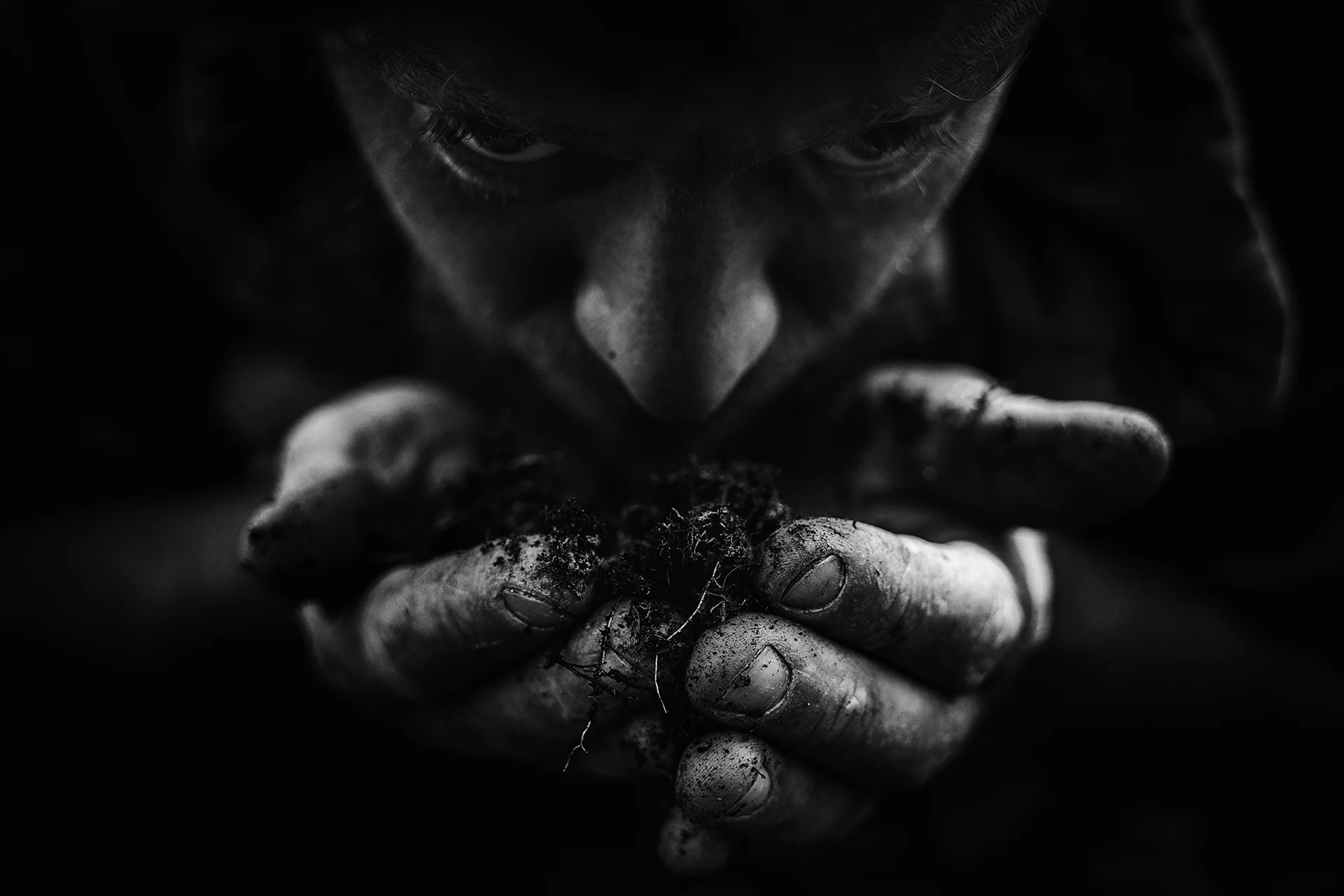 Daniele Piccinin — foto 3